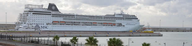 How to get from Rome Cruise Terminal Civitavecchia to Airport Fiumicino?