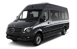 Standart Minivan Long