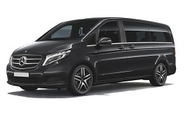 Business Minivan